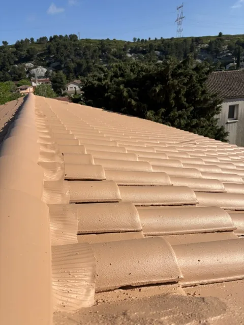 Toiture en tuiles après traitement hydrofuge par LMpro Couverture
